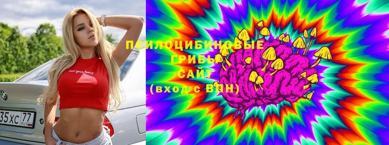 где найти   Лахденпохья  Псилоцибиновые грибы Magic Shrooms 